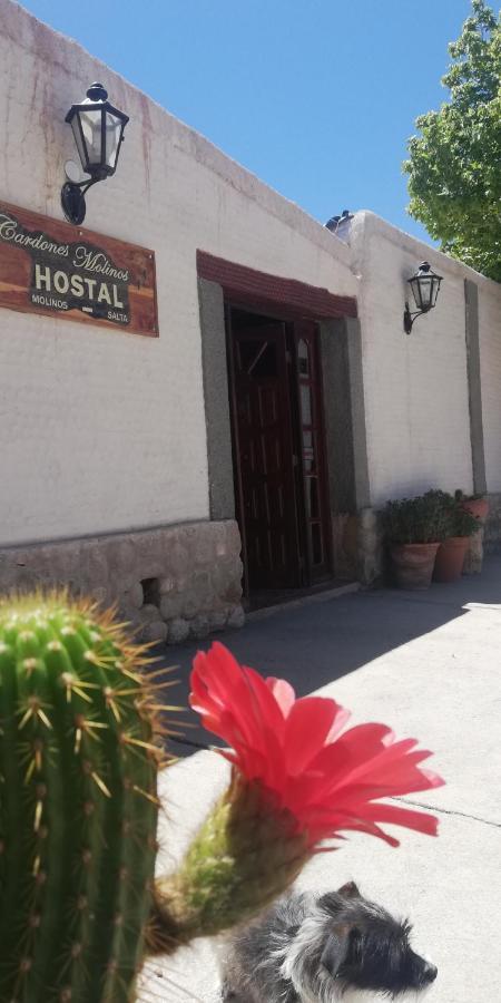 Cardones De Molinos Bed & Breakfast Exterior photo